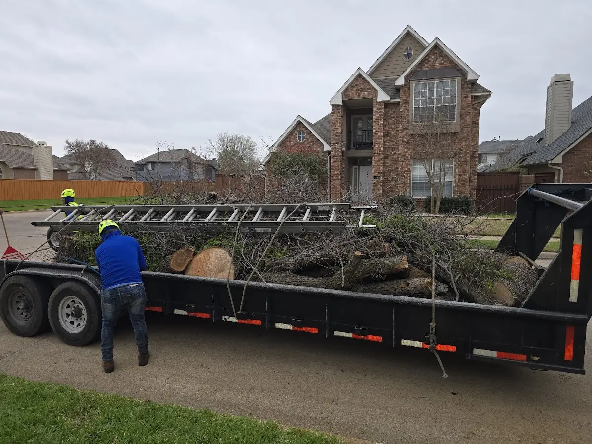 Expert Tree Fertilization with proper safety equipment in Lizemores